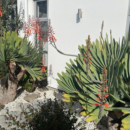 Stunning Park Side Holiday Home Christchurch Luaran gambar