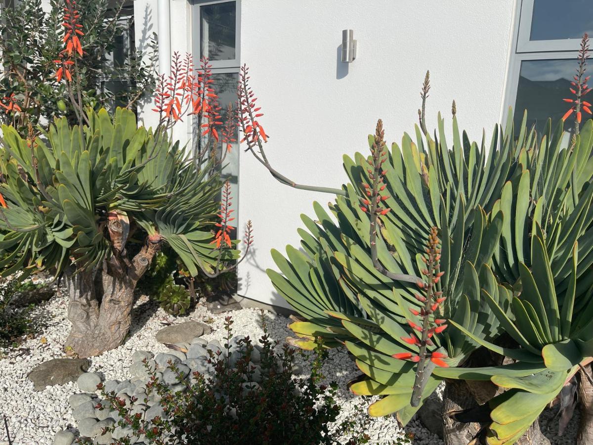 Stunning Park Side Holiday Home Christchurch Luaran gambar