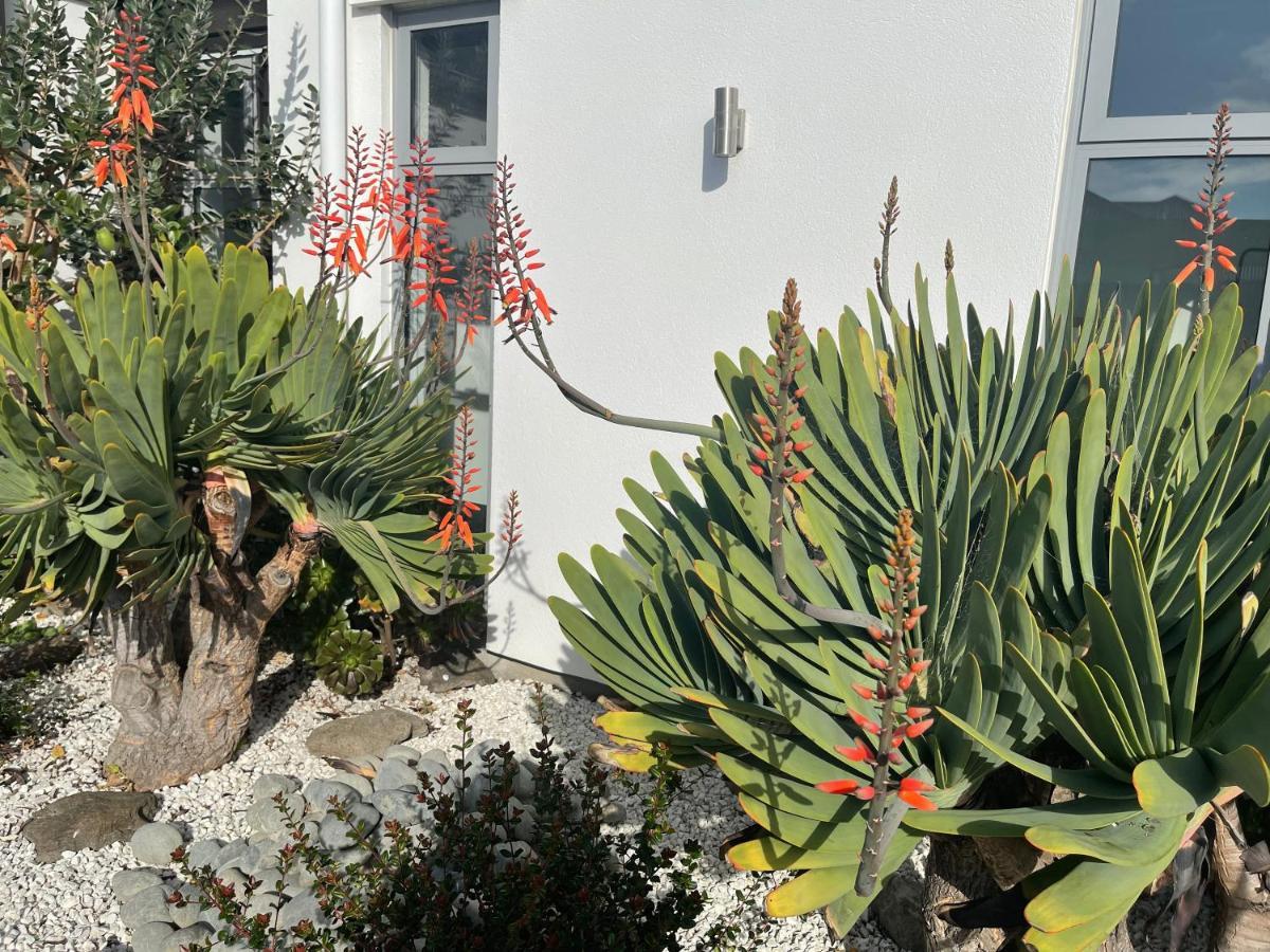 Stunning Park Side Holiday Home Christchurch Luaran gambar